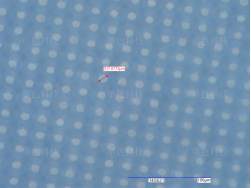 PDMS membrane 7μm microporous processing